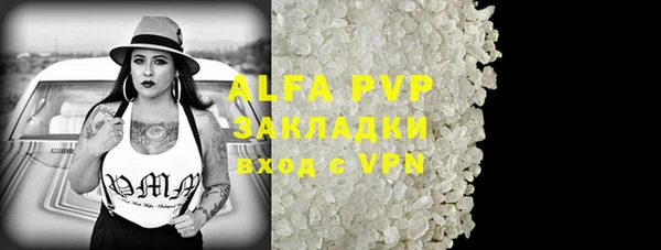 молекула духа Надым