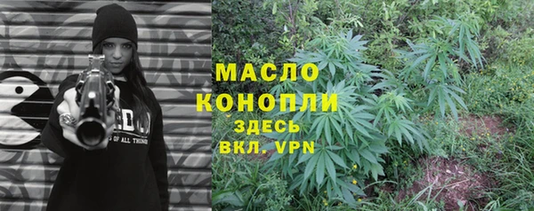 молекула духа Надым