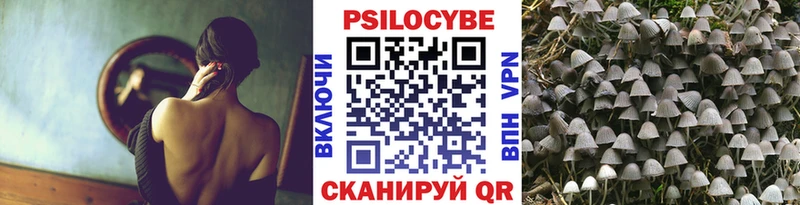 Галлюциногенные грибы мицелий  Купить где  Гремячинск 